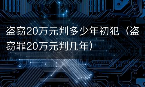 盗窃20万元判多少年初犯（盗窃罪20万元判几年）