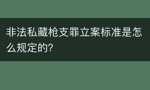 非法私藏枪支罪立案标准是怎么规定的？
