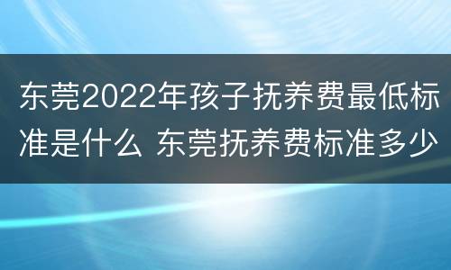 东莞2022年孩子抚养费最低标准是什么 东莞抚养费标准多少钱一个月