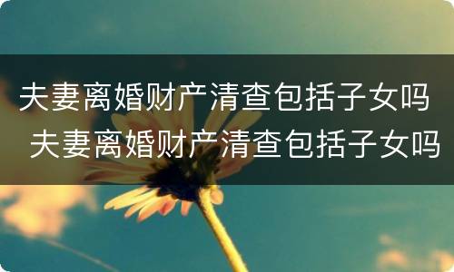夫妻离婚财产清查包括子女吗 夫妻离婚财产清查包括子女吗怎么查