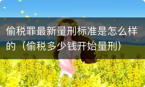 偷税罪最新量刑标准是怎么样的（偷税多少钱开始量刑）