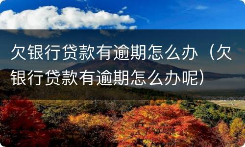 欠银行贷款有逾期怎么办（欠银行贷款有逾期怎么办呢）