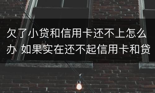 欠了小贷和信用卡还不上怎么办 如果实在还不起信用卡和贷款怎么办