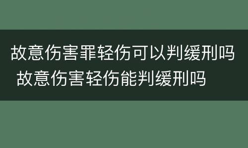 故意伤害罪轻伤可以判缓刑吗 故意伤害轻伤能判缓刑吗