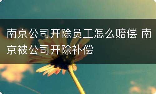 南京公司开除员工怎么赔偿 南京被公司开除补偿