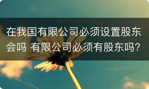 在我国有限公司必须设置股东会吗 有限公司必须有股东吗?