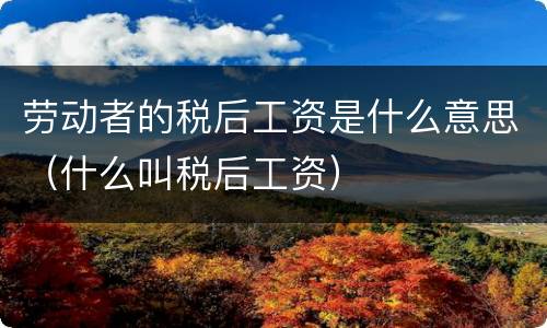 劳动者的税后工资是什么意思（什么叫税后工资）