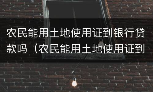 农民能用土地使用证到银行贷款吗（农民能用土地使用证到银行贷款吗怎么贷）