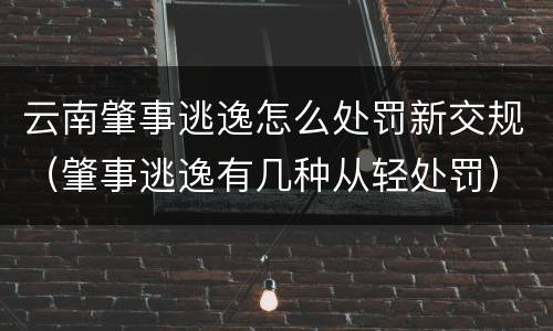 云南肇事逃逸怎么处罚新交规（肇事逃逸有几种从轻处罚）