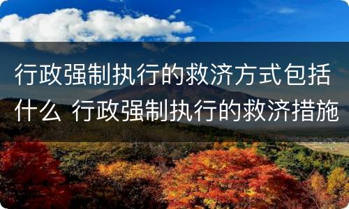 行政强制执行的救济方式包括什么 行政强制执行的救济措施