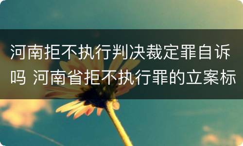 河南拒不执行判决裁定罪自诉吗 河南省拒不执行罪的立案标准