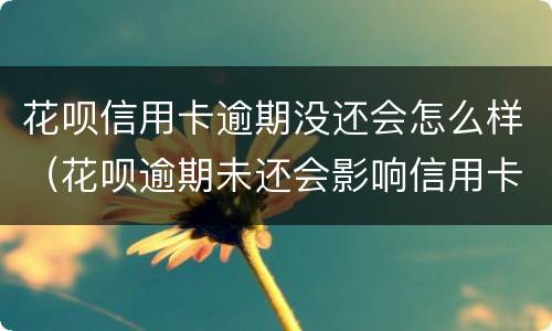 花呗信用卡逾期没还会怎么样（花呗逾期未还会影响信用卡使用吗）