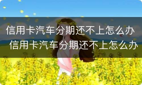 信用卡汽车分期还不上怎么办 信用卡汽车分期还不上怎么办呢