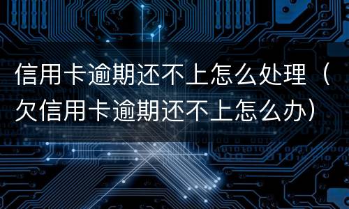 信用卡逾期还不上怎么处理（欠信用卡逾期还不上怎么办）
