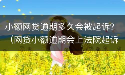 小额网贷逾期多久会被起诉？（网贷小额逾期会上法院起诉么）