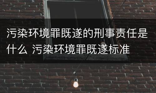 污染环境罪既遂的刑事责任是什么 污染环境罪既遂标准