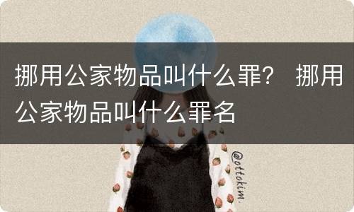 挪用公家物品叫什么罪？ 挪用公家物品叫什么罪名