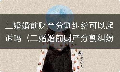 二婚婚前财产分割纠纷可以起诉吗（二婚婚前财产分割纠纷可以起诉吗）