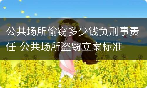 公共场所偷窃多少钱负刑事责任 公共场所盗窃立案标准