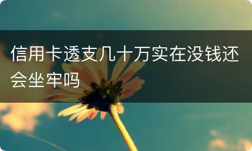信用卡透支几十万实在没钱还会坐牢吗