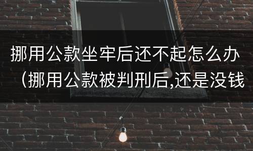 挪用公款坐牢后还不起怎么办（挪用公款被判刑后,还是没钱还,怎么办）