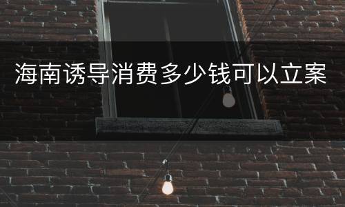 海南诱导消费多少钱可以立案