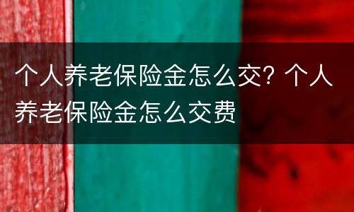 个人养老保险金怎么交? 个人养老保险金怎么交费