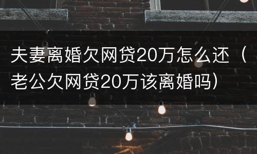 夫妻离婚欠网贷20万怎么还（老公欠网贷20万该离婚吗）