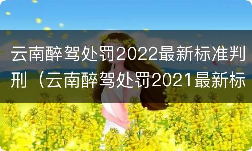 云南醉驾处罚2022最新标准判刑（云南醉驾处罚2021最新标准）