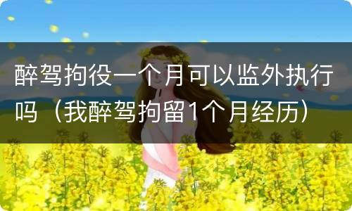 醉驾拘役一个月可以监外执行吗（我醉驾拘留1个月经历）