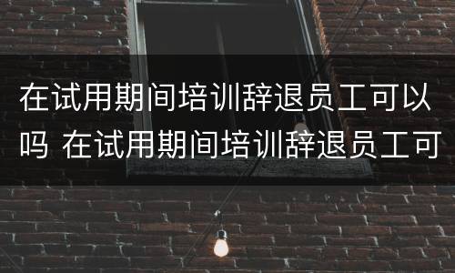 在试用期间培训辞退员工可以吗 在试用期间培训辞退员工可以吗