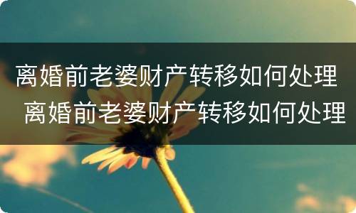 离婚前老婆财产转移如何处理 离婚前老婆财产转移如何处理呢