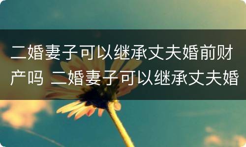 二婚妻子可以继承丈夫婚前财产吗 二婚妻子可以继承丈夫婚前财产吗知乎