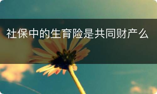 社保中的生育险是共同财产么