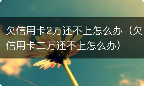 欠信用卡2万还不上怎么办（欠信用卡二万还不上怎么办）