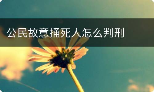 公民故意捅死人怎么判刑