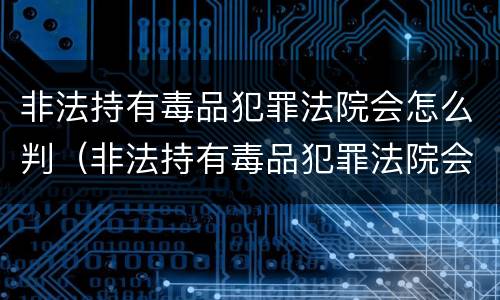 非法持有毒品犯罪法院会怎么判（非法持有毒品犯罪法院会怎么判呢）