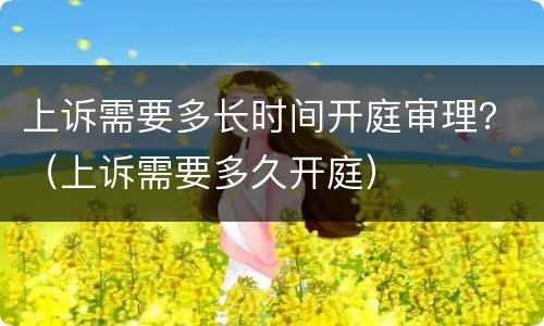 上诉需要多长时间开庭审理？（上诉需要多久开庭）