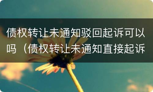 债权转让未通知驳回起诉可以吗（债权转让未通知直接起诉）