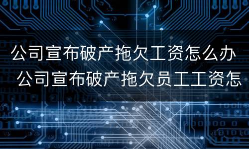 公司宣布破产拖欠工资怎么办 公司宣布破产拖欠员工工资怎么办