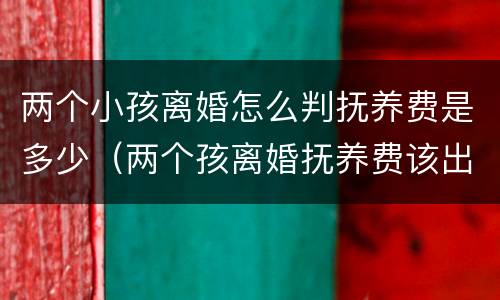 两个小孩离婚怎么判抚养费是多少（两个孩离婚抚养费该出多少）