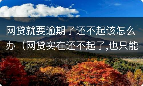 网贷就要逾期了还不起该怎么办（网贷实在还不起了,也只能逾期了）