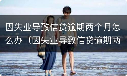 因失业导致信贷逾期两个月怎么办（因失业导致信贷逾期两个月怎么办理）