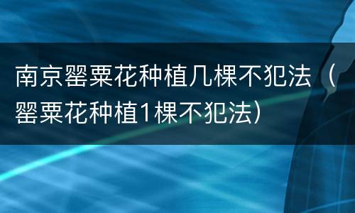 南京罂粟花种植几棵不犯法（罂粟花种植1棵不犯法）