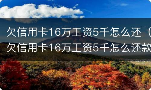 欠信用卡16万工资5千怎么还（欠信用卡16万工资5千怎么还款）