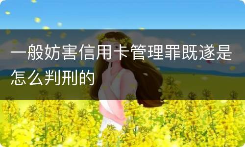 一般妨害信用卡管理罪既遂是怎么判刑的