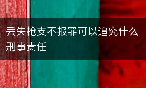 丢失枪支不报罪可以追究什么刑事责任