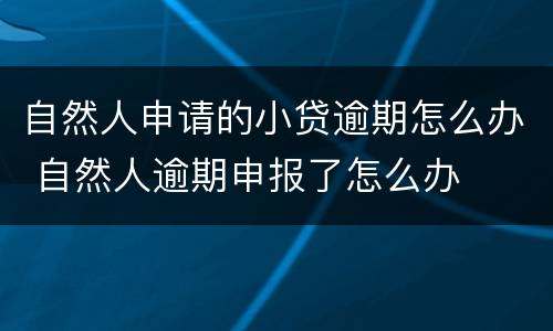 自然人申请的小贷逾期怎么办 自然人逾期申报了怎么办