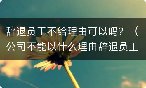 辞退员工不给理由可以吗？（公司不能以什么理由辞退员工）