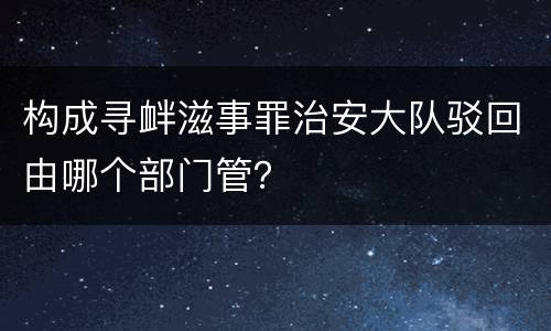 构成寻衅滋事罪治安大队驳回由哪个部门管？